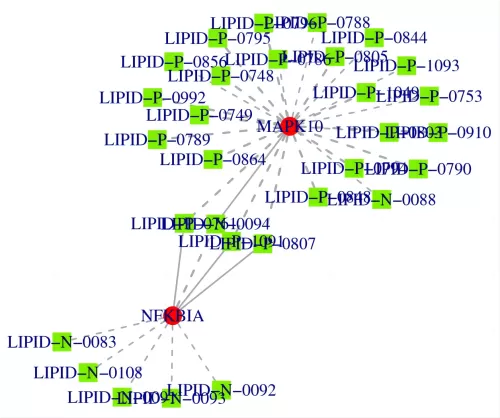 Figure 2 Network diagram of gene-metabolite correlation